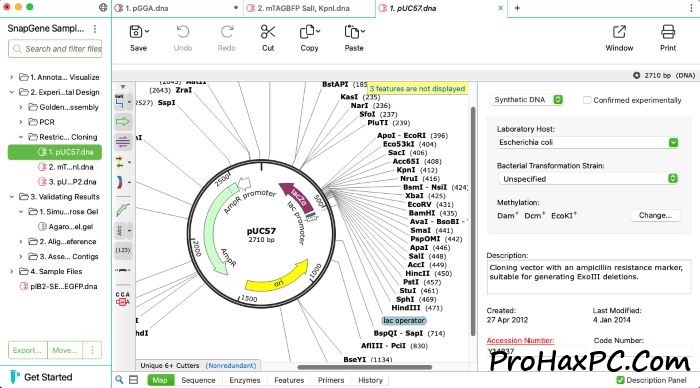 SnapGene License Key